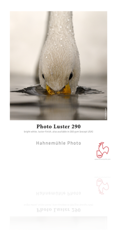 Hahnemühle Photo Luster 290 gsm - Roll